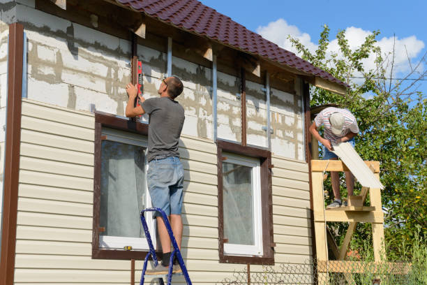 Best Custom Trim and Detailing for Siding  in Denver, CO