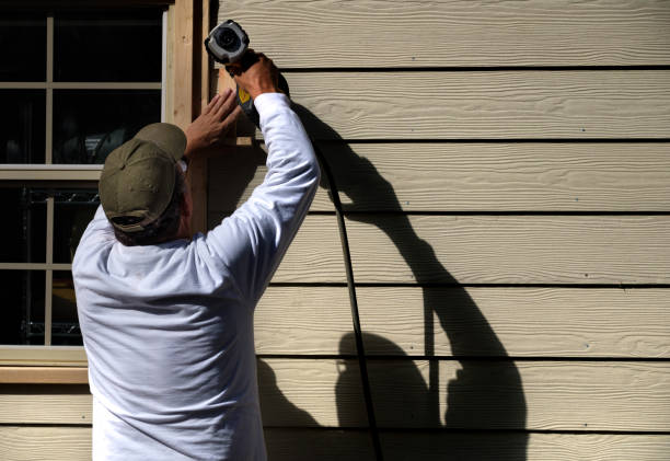Best Custom Siding Design  in Denver, CO