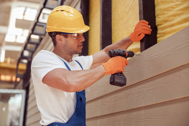 Best Siding Painting and Refinishing  in Denver, CO
